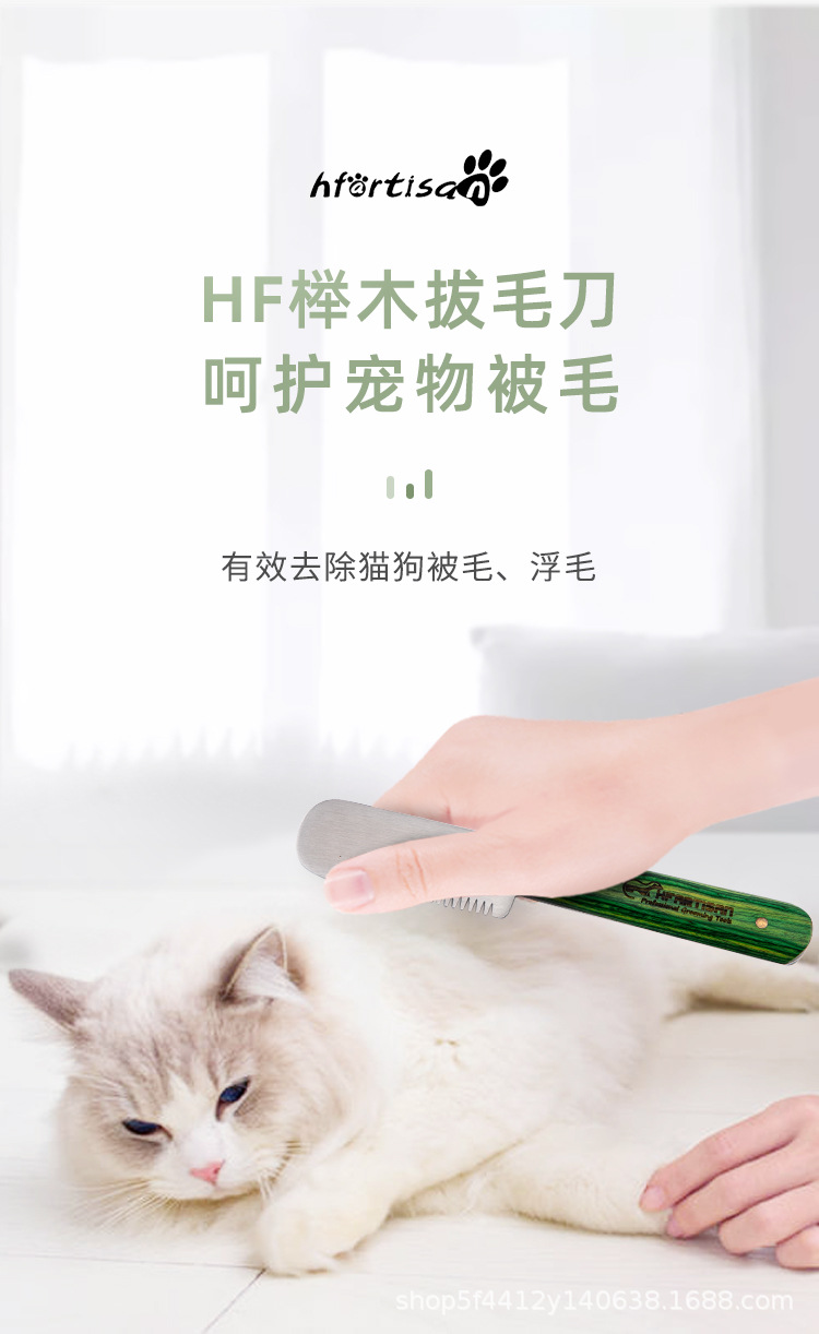 详情2.jpg