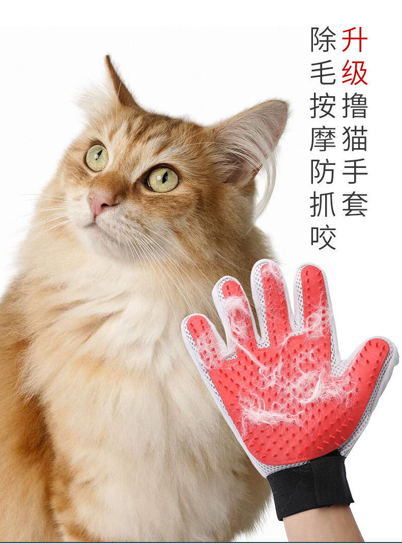 2404949a-d0ac-4466-bb57-2cb2675afd0c.jpe