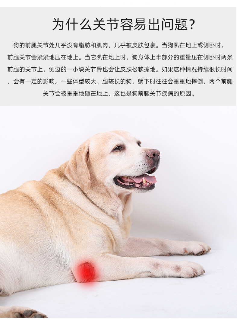 PD60100狗狗前腿保护_02.jpg