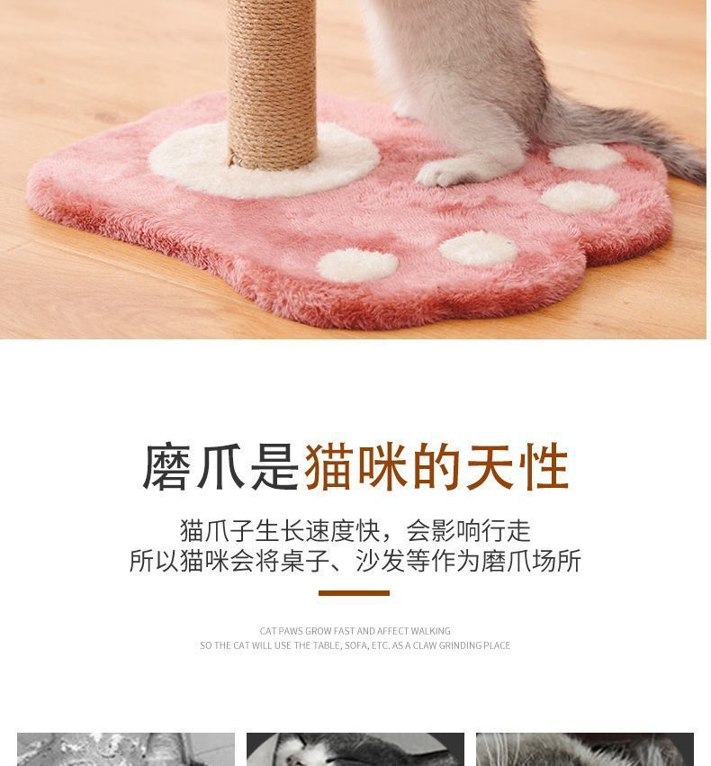 e51473f6-00a4-456f-a1d8-f4d3fd2674f4.jpe