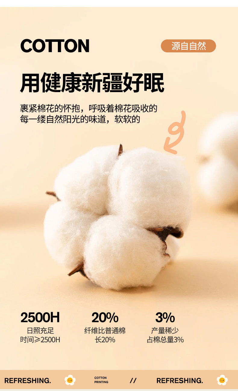 d02fd8d4-7a15-407d-ab22-368780a191e0.jpe