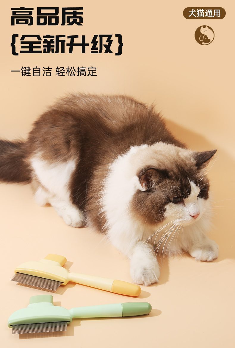 2e5c0ebb-f547-4b6e-a4f9-67ff44699ba6.jpe