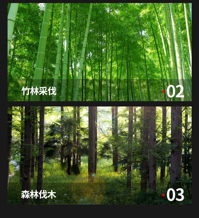 5寸电锯详情_07.jpg