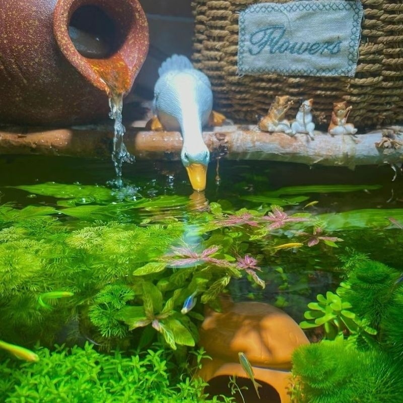 ef02ca24-5a95-4b60-9b0d-2b135b03aef7.jpe