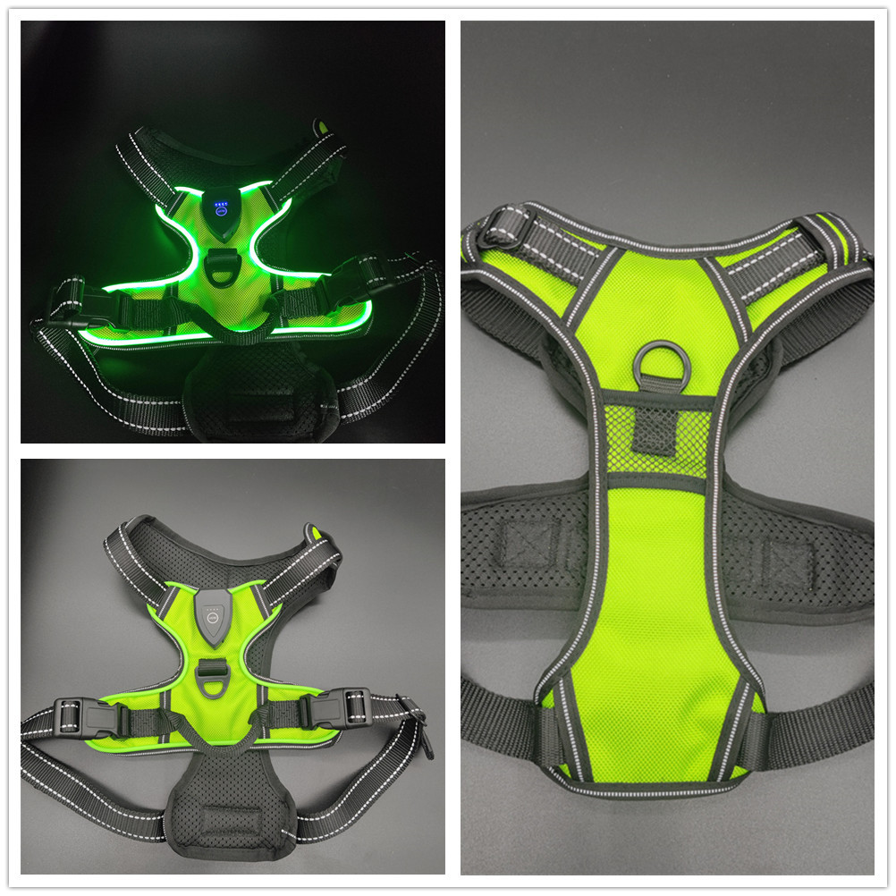 IMG_20230626_182020_副本