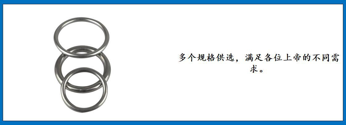 ZB7701圆环 细节图-3.jpg