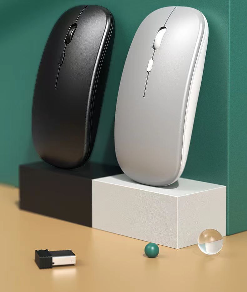 487d6513-6239-47dd-a4fd-b2f370e15974.jpe