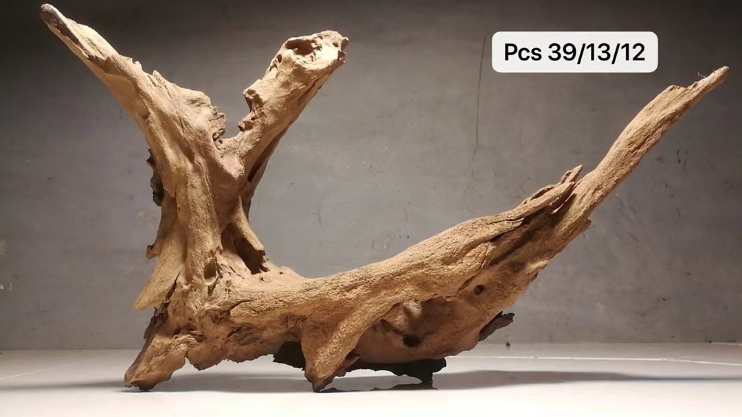 微信图片_20220617173637