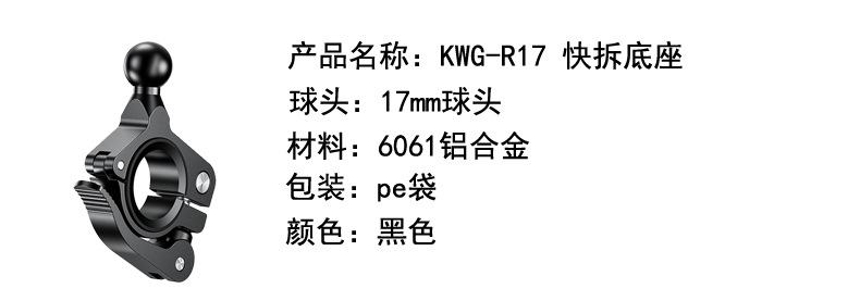R17详情