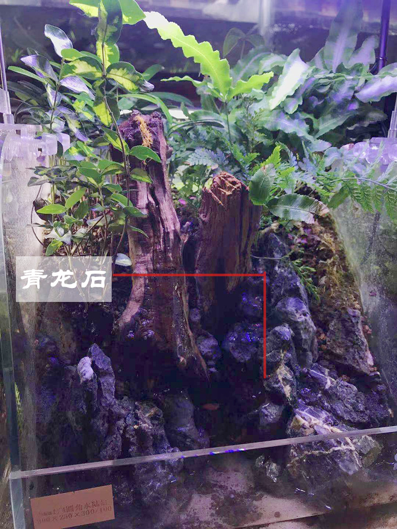 微信图片_20210903131550.jpg