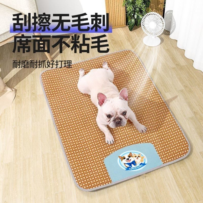 add99167-6415-44d1-9c4a-3629a84c0043.jpe