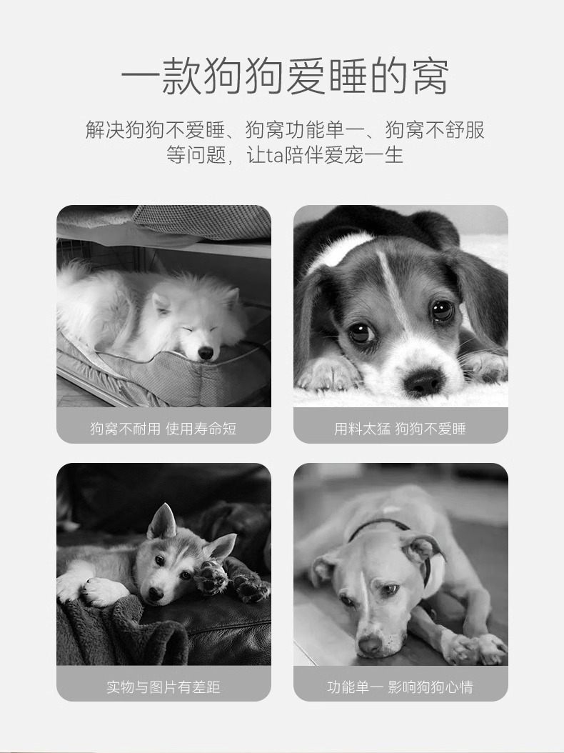 3d48c712-a4e2-43ea-a9fc-a6ee85ef87ff.jpe