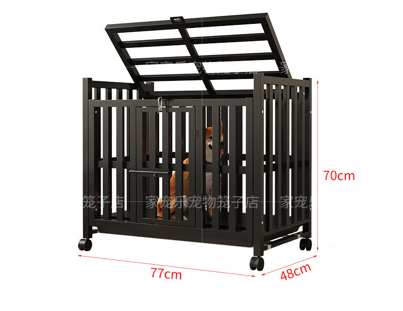 1a3bb1f9-b874-4a73-809f-8867041ad6ce.jpe