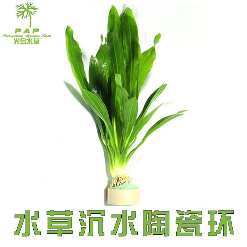 陶瓷环主图4