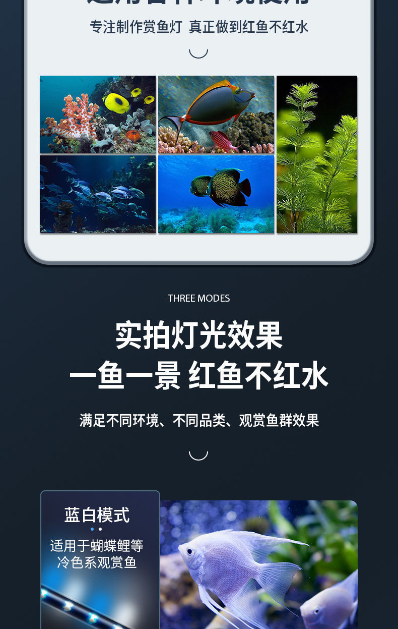 2f43e724-1d5e-4874-802d-e209ea59a69f.jpe