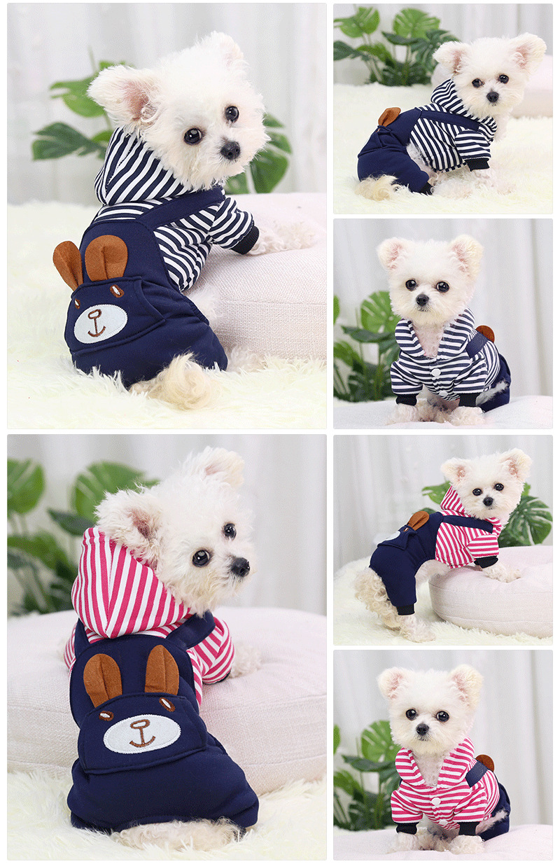 一键复制_20220917192817