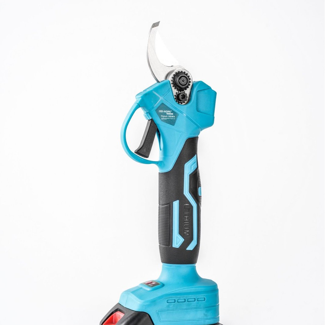 2025-04-21 13:54:36.jpg