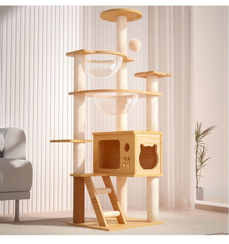 5405610d-b07d-44e3-a5eb-a0f4643317c3.jpe