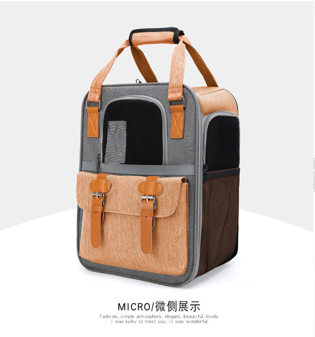 c599944f-aedc-4c35-b821-c0d1ac8befbb.jpe