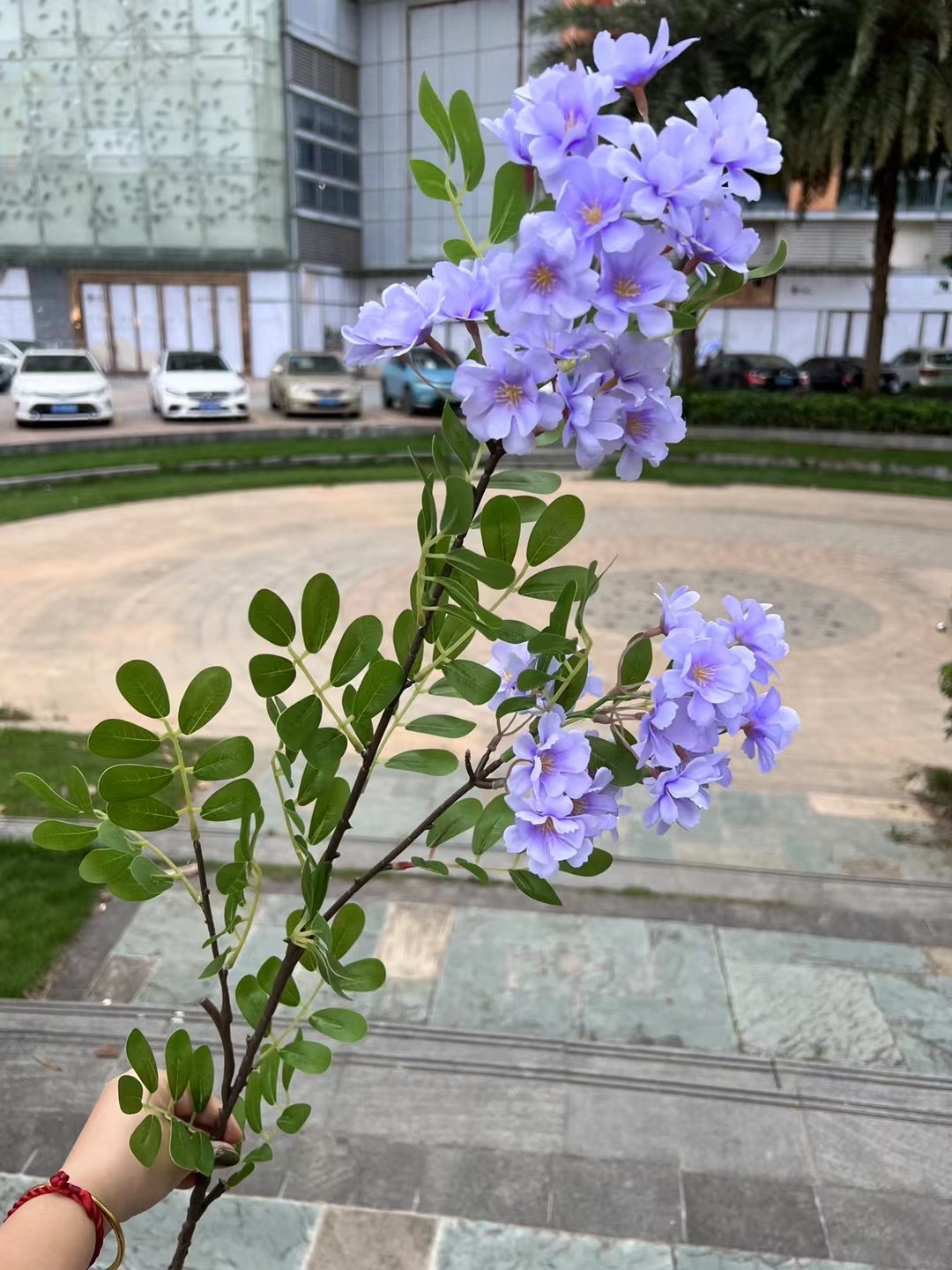 微信图片_20240805150201