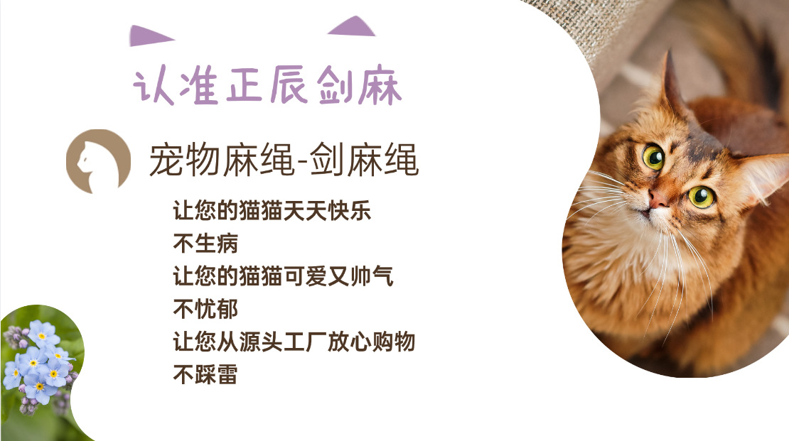 微信图片_20231030182656