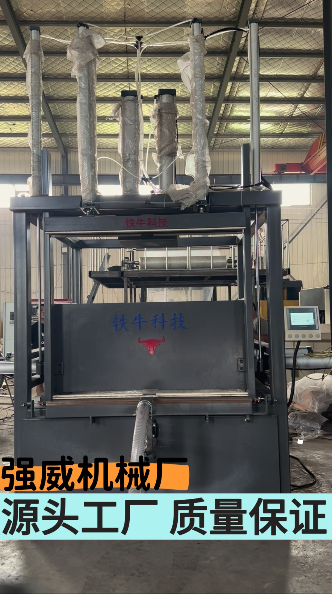 六面定型强威图1