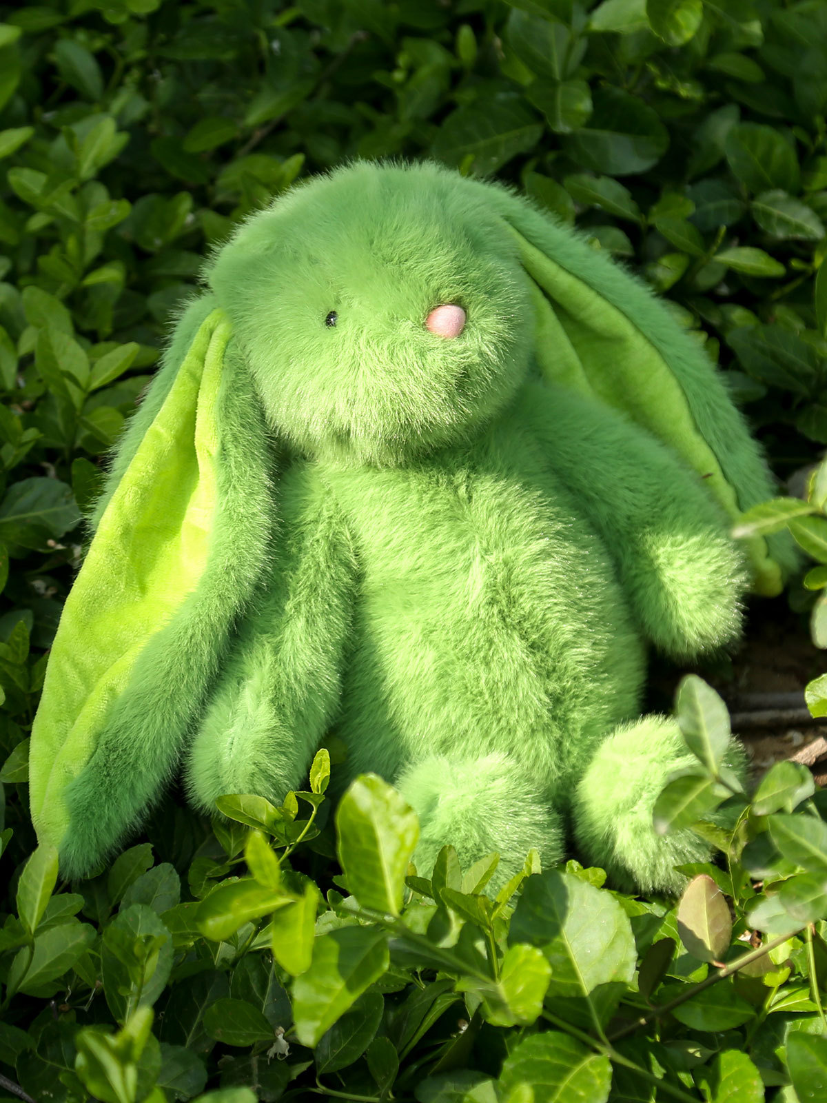 详情-妮妮兔 (4).jpg