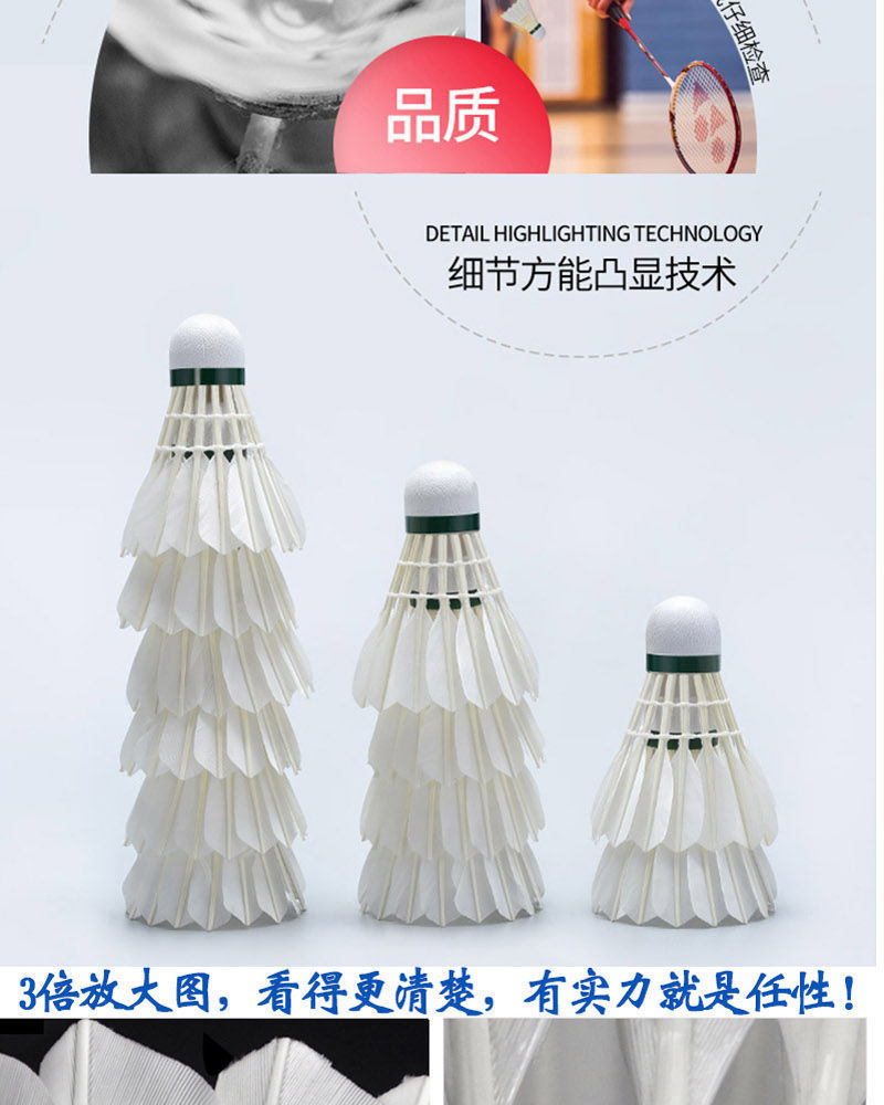 95807dc2-d472-4ca3-9bb6-e3d05cc643bf.jpg