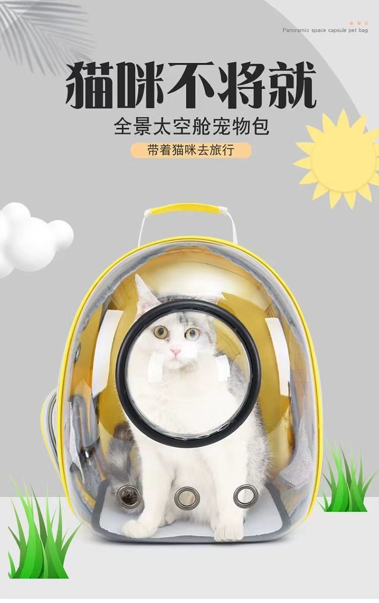 63fed617-c370-4ba6-b24b-a77f530667c3.jpe