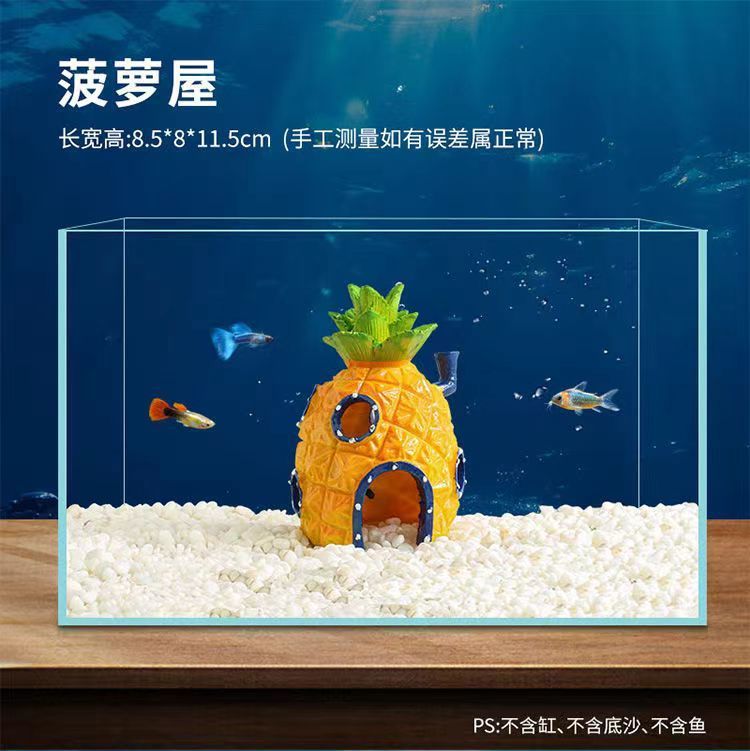 34e56c09-21a5-4d05-9b3e-dd6fa731adc6.jpe