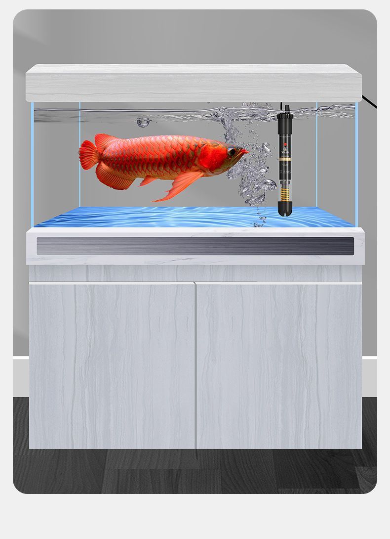 a984f62f-89df-4ba6-a4be-6c04726dbb4c.jpe