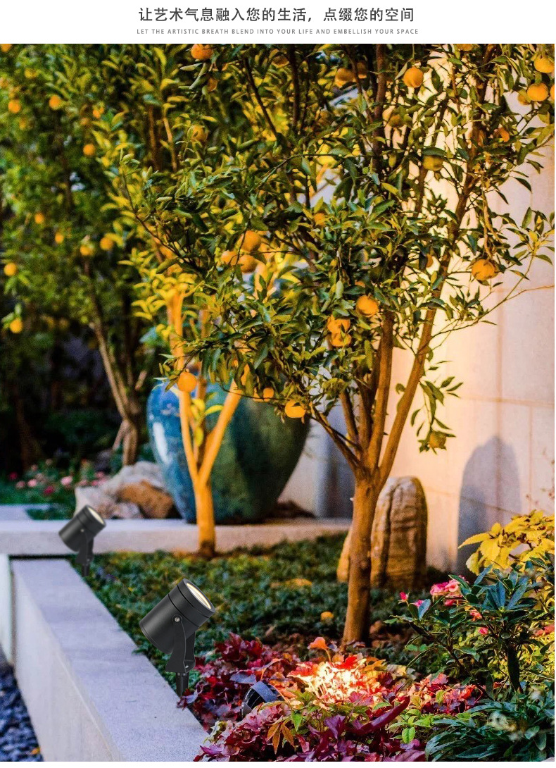 10 (5).jpg?x-oss-process=image/format,png