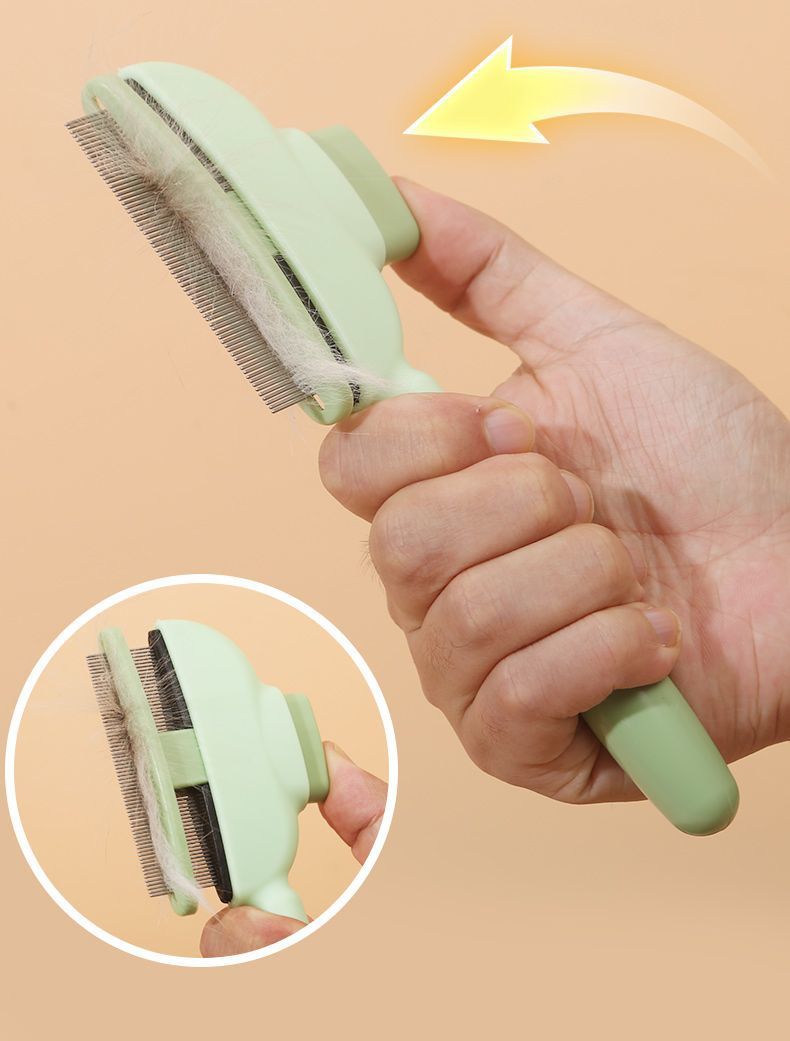 e66540df-ae44-4467-8ba8-a7a25a8caa43.jpe