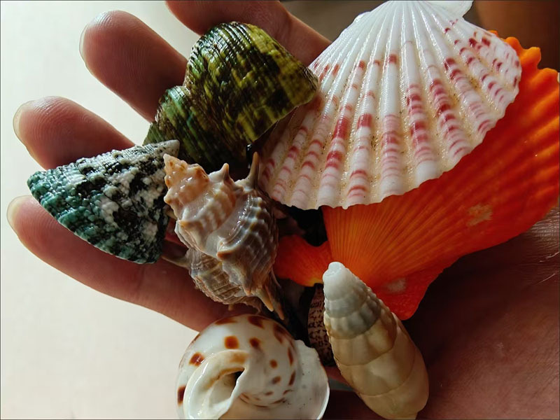 6个不重复详情7