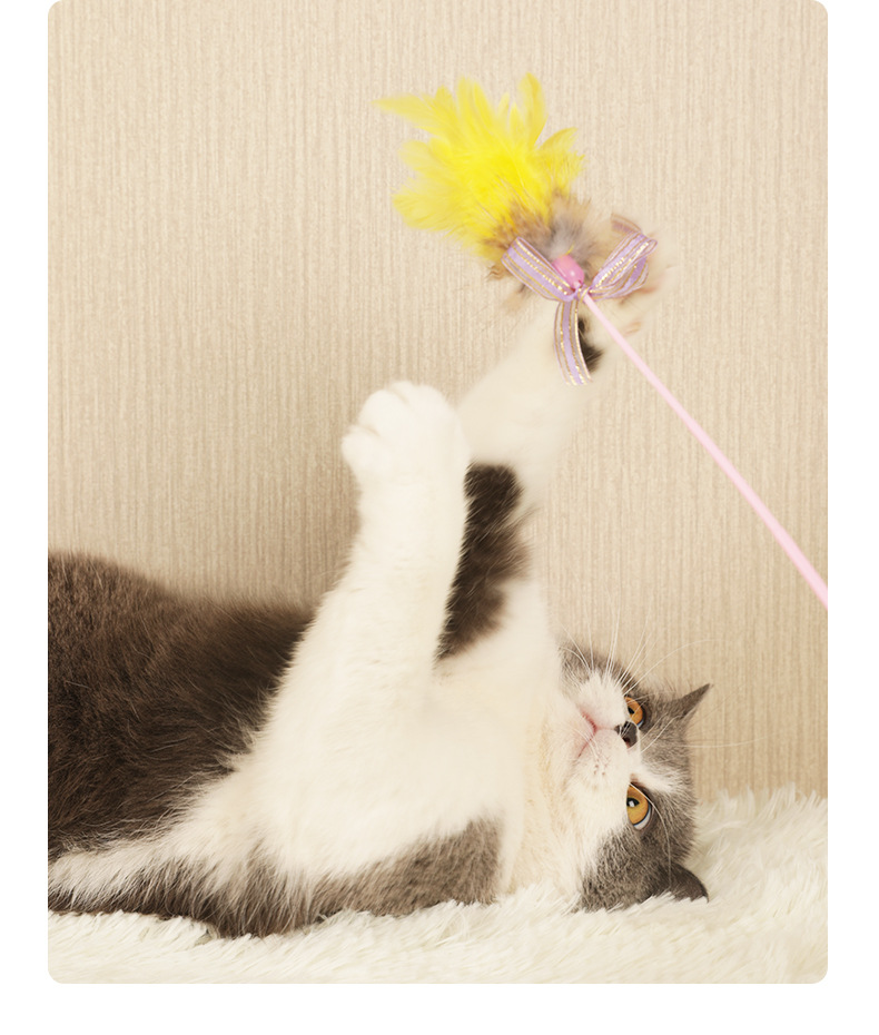 逗猫棒详情页_06.jpg