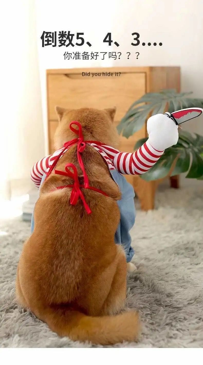 88f87bdf-c7ef-43a4-b83c-59fe5ae1c275.jpe