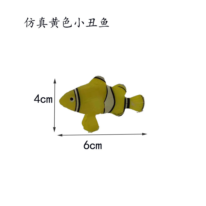 黄色小丑鱼尺寸.jpg