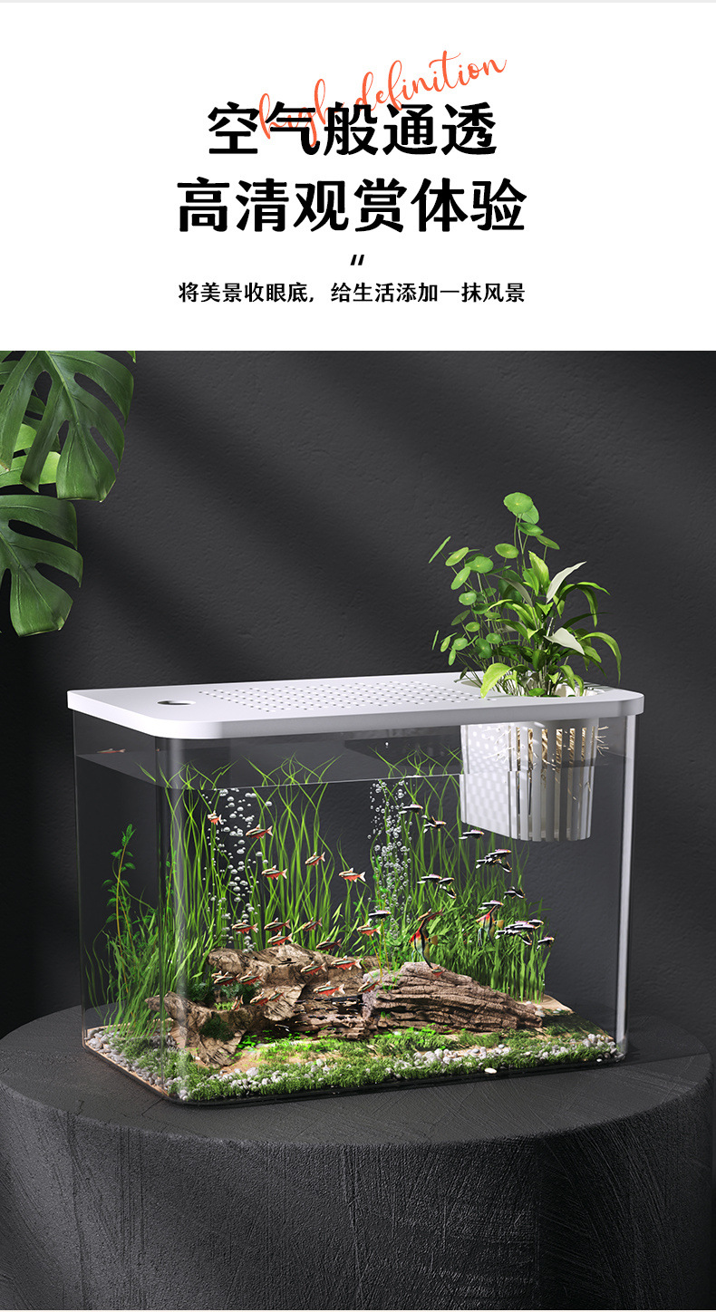 f6636345-501f-46f8-a350-f13b1f0a45fb.jpe