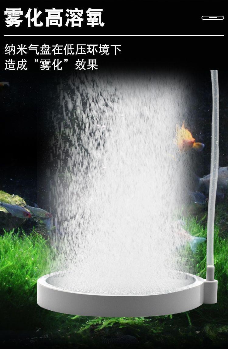 f25e7e32-37c2-4246-a850-a9982d0b4005.jpe