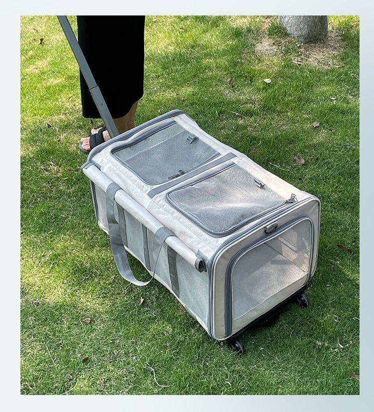 77e37898-83cc-4082-b6fa-b1b6c77af1f8.jpe