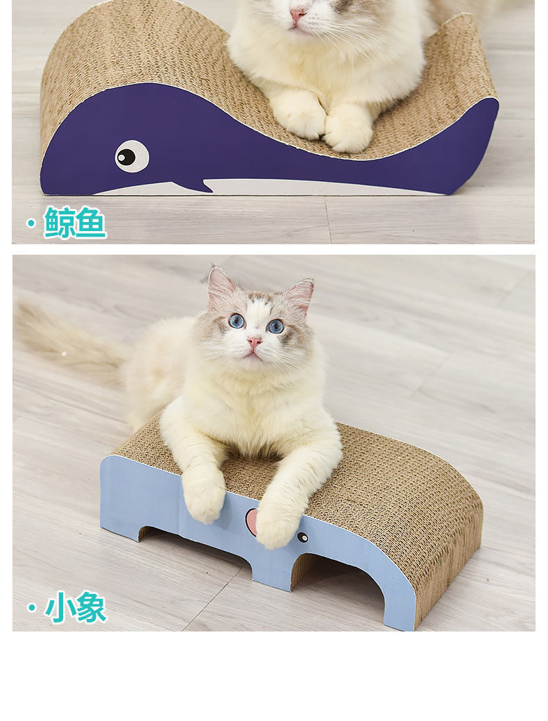 1f91fbe6-34d7-4322-9dbf-0f9d2e119400.jpe