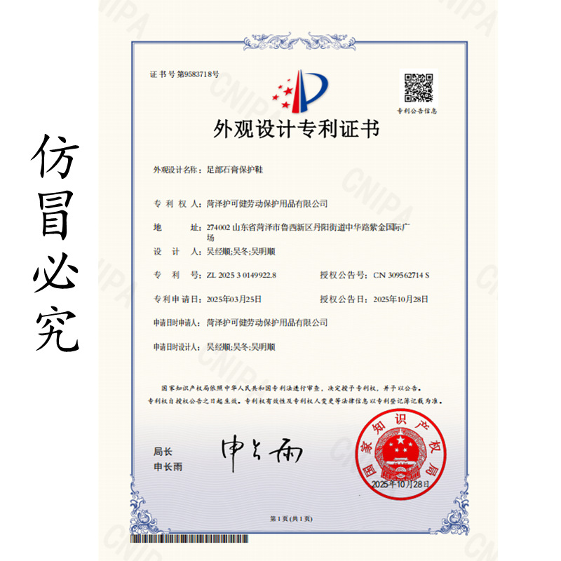 专利_副本_副本