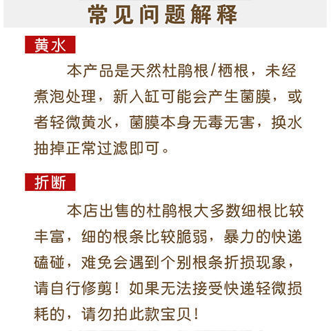 75b24e7b-488a-48af-9e77-ca4c95fb90c4.jpe