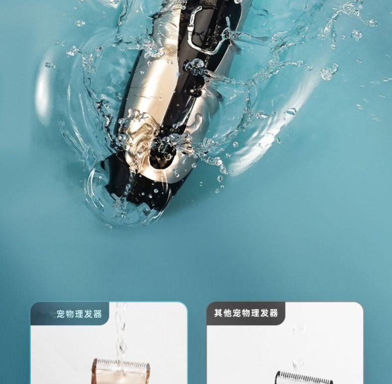 956e0ca3-d995-4109-8095-8ddae0c9aeb7.jpe