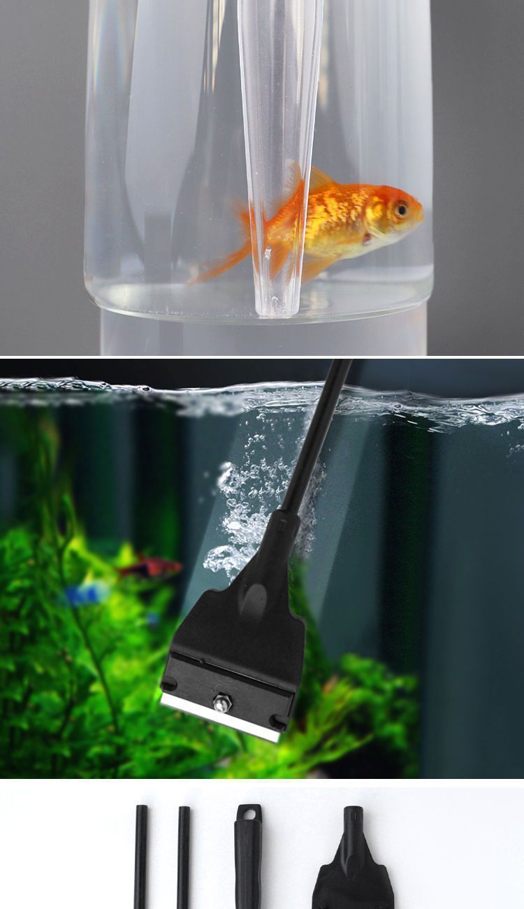 5880d074-d172-4461-bab2-8894af0c9f82.jpe