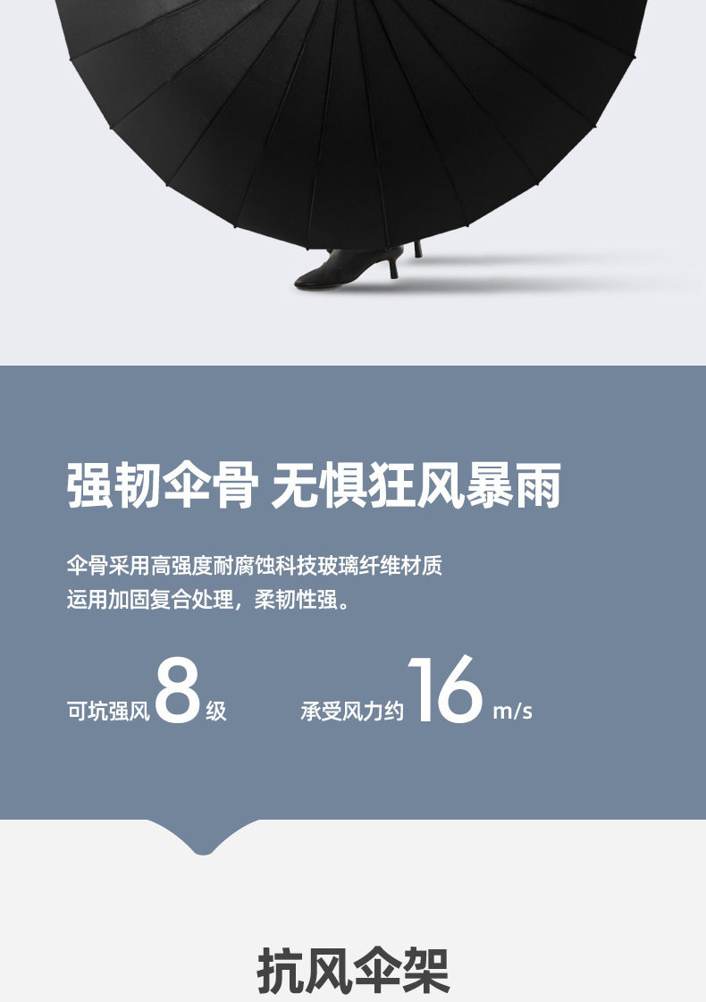 智贝下图_15.png