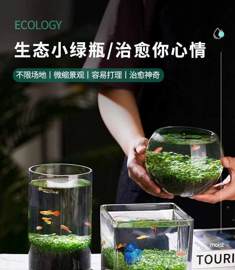 /O1CN01u7c85A1zOwdDXnKjL_!!2217894876705-0-cib.jpg?x-oss-process=image/format,png