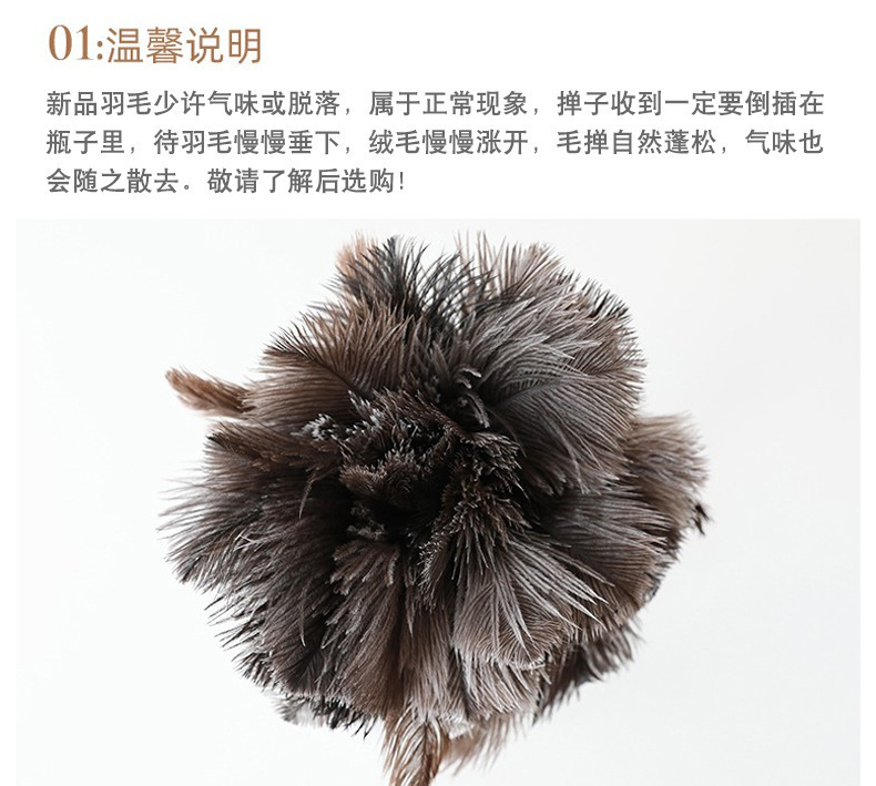 aeef4a3a-f4a0-4326-b9bc-79a03b1b2035.jpe