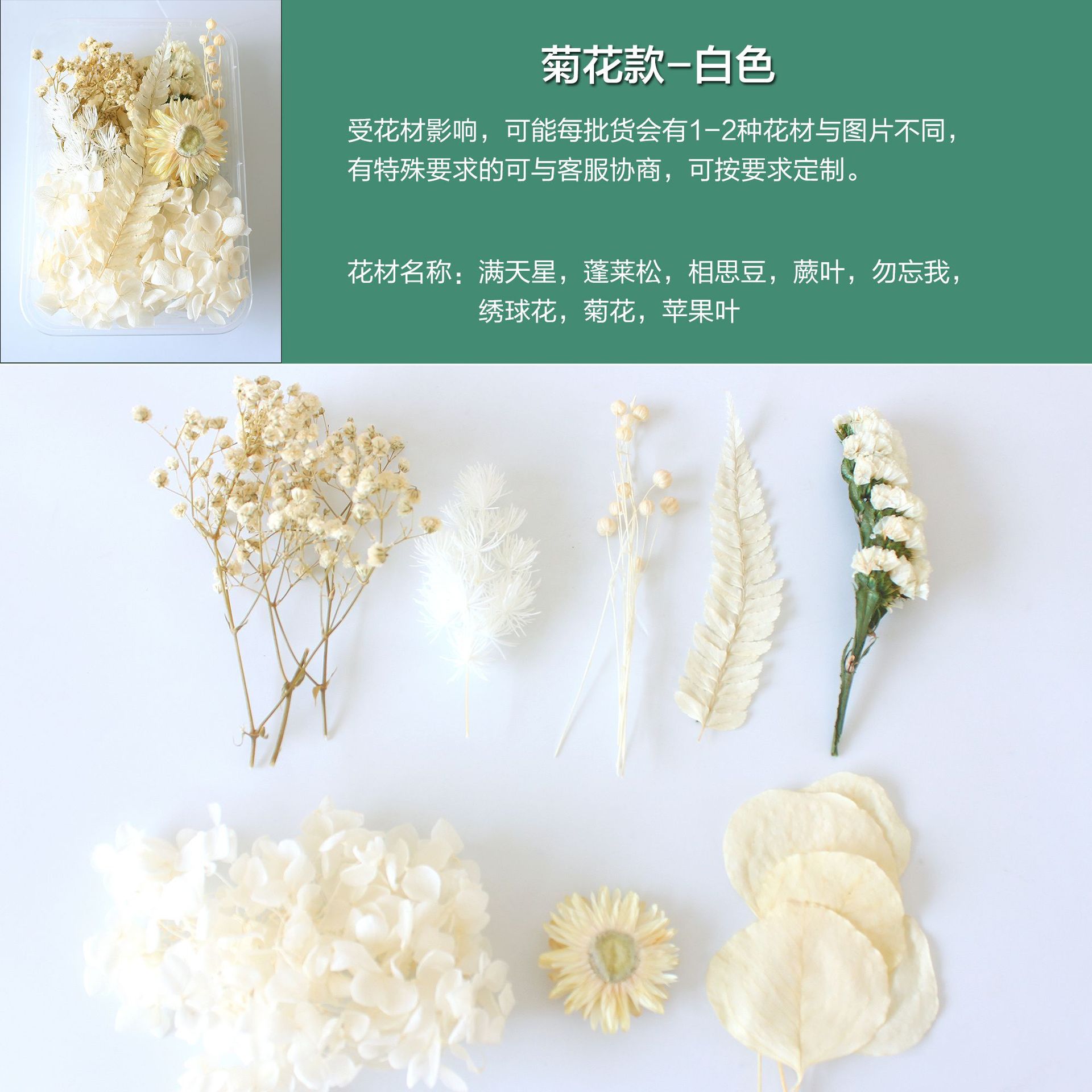 菊花款-白色.jpg
