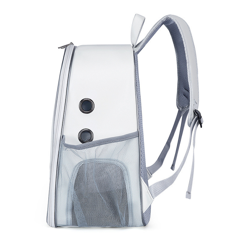 789e8185-fac5-4b55-ad11-d0b9cc6f710b.jpe